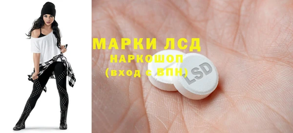 PSILOCYBIN Аркадак