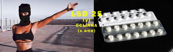 PSILOCYBIN Аркадак