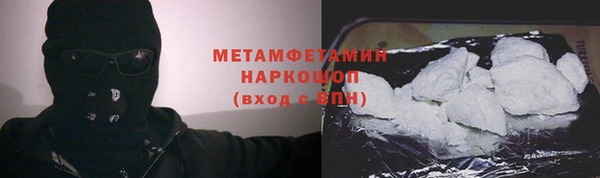PSILOCYBIN Аркадак