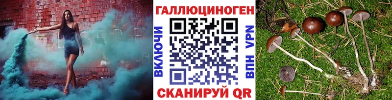 Псилоцибиновые грибы мицелий  hydra как войти  Новороссийск  купить закладку 